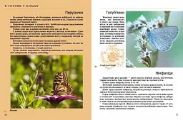 Комахи та інші - мініатюра 3