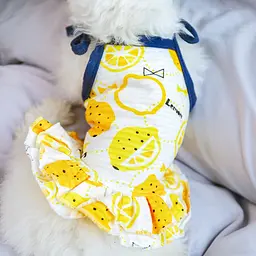 Сукня для собак PetCircle "Лимончики" біла L Petcircle Summer zoo0005942 - мініатюра 5