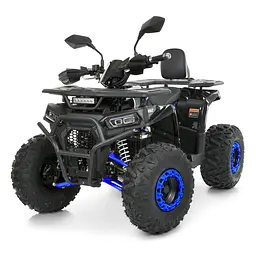 Квадроцикл бензиновий 125cc F/N/R 8 дюймів литі диски гідравлічні гальма до 82кг (AFN125-2-4)