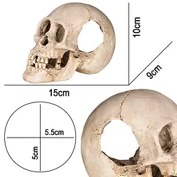 Декорація череп людини Terrario Human Skull XL 15x10x9см (161012)