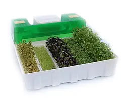 Мікроферма EasyGreen EGL 55 - мініатюра 2