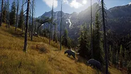 Гра Sony PlayStation 5 Way of the Hunter: Hunting Season One Російські субтитри Б/в - мініатюра 5