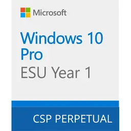 Операційна система Microsoft Windows 10 ESU Year 1 (2025 - 2026) Extended Security Updates (ESU) (DG7GMGF0SSGZ_0004)