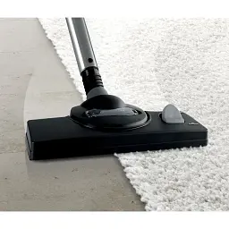 Порохотяг миючий BOSCH BWD421POW - мініатюра 6