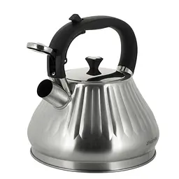 Чайник із свистком Kamille KM-0859 3.0 л - мініатюра 3