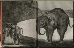 Goya. The Complete Prints - мініатюра 7