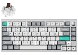 Клавіатура Lemokey P1 Pro Keychron Super Brown Wireless EN/UKR RGB Space Silver (P1P-X3-UA)
