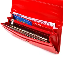 Жіночий шкіряний гаманець Canpellini 19х9,2х2 см acs0025134 - мініатюра 4