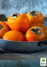 Саджанець Agro-Market Хурма Мідер на віргінській морозостійкій підщепі 1 шт. в упаковці (21382) - мініатюра 7