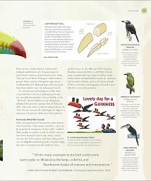 The Bird Book - мініатюра 5