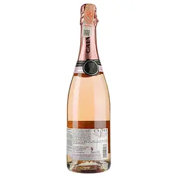 Вино ігристе Calvet Cremant de Bordeaux Brut, 10,5%, 0,75 л (AG1G038) - мініатюра 2