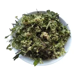 Глід Квіти Crataegus sanguinea - мініатюра 1