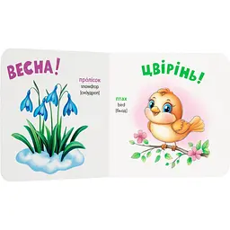 Книга Розглядайка-розвивайка. Пори року - Катерина Столяренко (F00032536)  - мініатюра 3