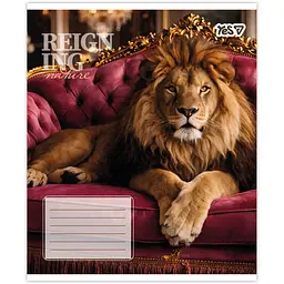 Зошит шкільний Yes Reign ing А5 24 аркуші лінія 20 шт. (769093) - мініатюра 4