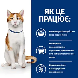 Сухий корм Hill's Prescription Diet ON-Care для котів, для підтримки у період реабілітації, при виснаженні, вт - мініатюра 4