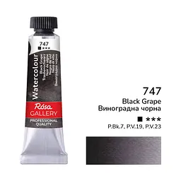 Фарба акварельна Виноградна чорна (747) туба 10 мл ROSA Gallery (4823098516668)