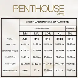Еротична сукня з вирізом Penthouse Flame On The Rock колір: чорний Розмір xl - мініатюра 4