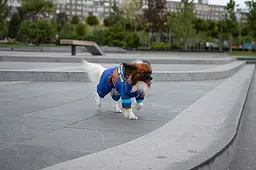 Комбінезон Smart Pet Snowfall - мініатюра 5