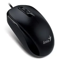 Миша Genius DX-110 USB Black (31010116106)