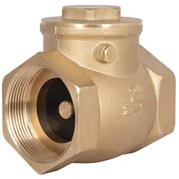 Зворотний клапан пелюстковий Thermo Alliance Standart 2" ВВ (низького тиску) SD242W50
