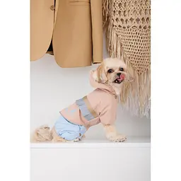 Дощовик Pet Fashion Tina для дівчаток розмір XS2 бежевий/блакитний - мініатюра 4