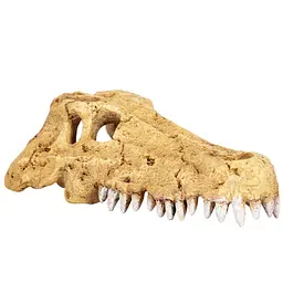 Крокодилячий череп Repti-Zoo Crocodile Skull M ERS34M 18x10x5,5 см - декоративне укриття для тераріуму та акваріуму - мініатюра 3