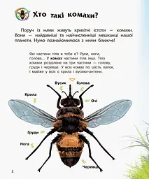Енциклопедія дошкільника (нова) Видавництво Ранок Комахи - мініатюра 2