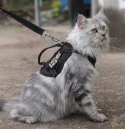 Шлейка для котів Fanxing Pet, світловідбивний жилет із ручкою S, Чорний - мініатюра 3