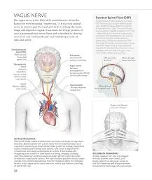Science of Yoga. Understand the Anatomy and Physiology to Perfect Your Practice - мініатюра 6