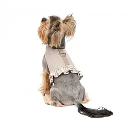 Шлея Pet Fashion для дівчинки Nika S - мініатюра 3
