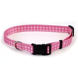 Нашийник для собак Coastal Pet Attire Style 2см x 35-50см (06621_PDT20)