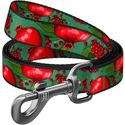 Повідець для собак Waudog Nylon нейлоновий, малюнок "Гранати", L-XXL