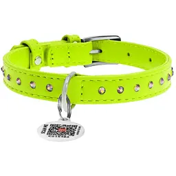 Нашийник для собак Waudog Glamour, шкіряний, зі стразами, з QR паспортом, S, 21-29х1,2 см, салатовий