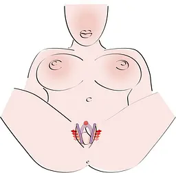 Стимулятор G-точки G-spot Labia Spreader - мініатюра 3