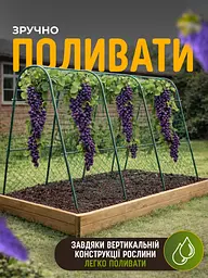 Садова опора-арка для витких рослин з сіткою (2.4 м) — Металевий каркас для огірків, квітів, винограду та клематисів - мініатюра 2