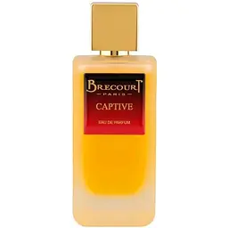 Парфумована вода оригінал тестер Brecourt Captive 100 мл