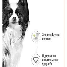 Вологий корм для дорослих собак мініатюрних розмірів Royal Canin X-Small Adult шматочки в соусі 85 г - мініатюра 2