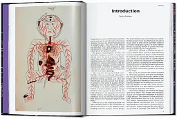 Information Graphics. 45th Edition - мініатюра 3
