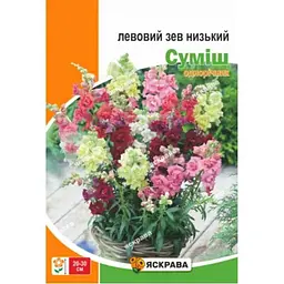 Левиний зів ЯСКРАВА низький суміш максі (10 пачок) 2г