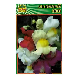 Насіння ротики Маджестік 0,1 г (Насіння країни)