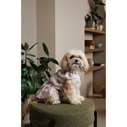 Сукня Pet Fashion Amelia для собак S - мініатюра 6