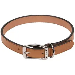 Нашийник для собак Coastal Circle-T Leather Town шкіряний (SP01108_TAN24)