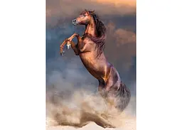 Пазл Clementoni High Quality Collection: Дикий рудий кінь (High Quality Collection - Wild Red Stallion Puzzle - 500 pcs.), 500 ел. (35595) - мініатюра 2