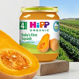 Органічне пюре HiPP Перший дитячий гарбуз 125 г - мініатюра 2