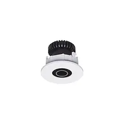 Точковий світильник Skarlat RSL74189 3W WH+BK 3000K