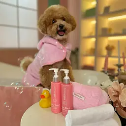 Шампунь Home Food Beauty Досконалий догляд для собак та котів 200 мл  - мініатюра 3