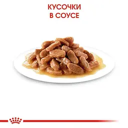Вологий корм для кошенят Royal Canin Kitten Instinctive шматочки в желе 85 г - мініатюра 2