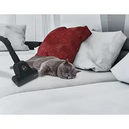 Пилосос Hoover HP322PET 011 - мініатюра 13