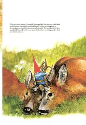 Gnomes - мініатюра 13