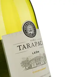 Вино Tarapaca Chardonnay Leon de Tarapaca, біле, сухе, 14%, 0,75 л (30007) - мініатюра 3